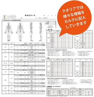 クオリアでは様々な情報をカルテに記入していきます