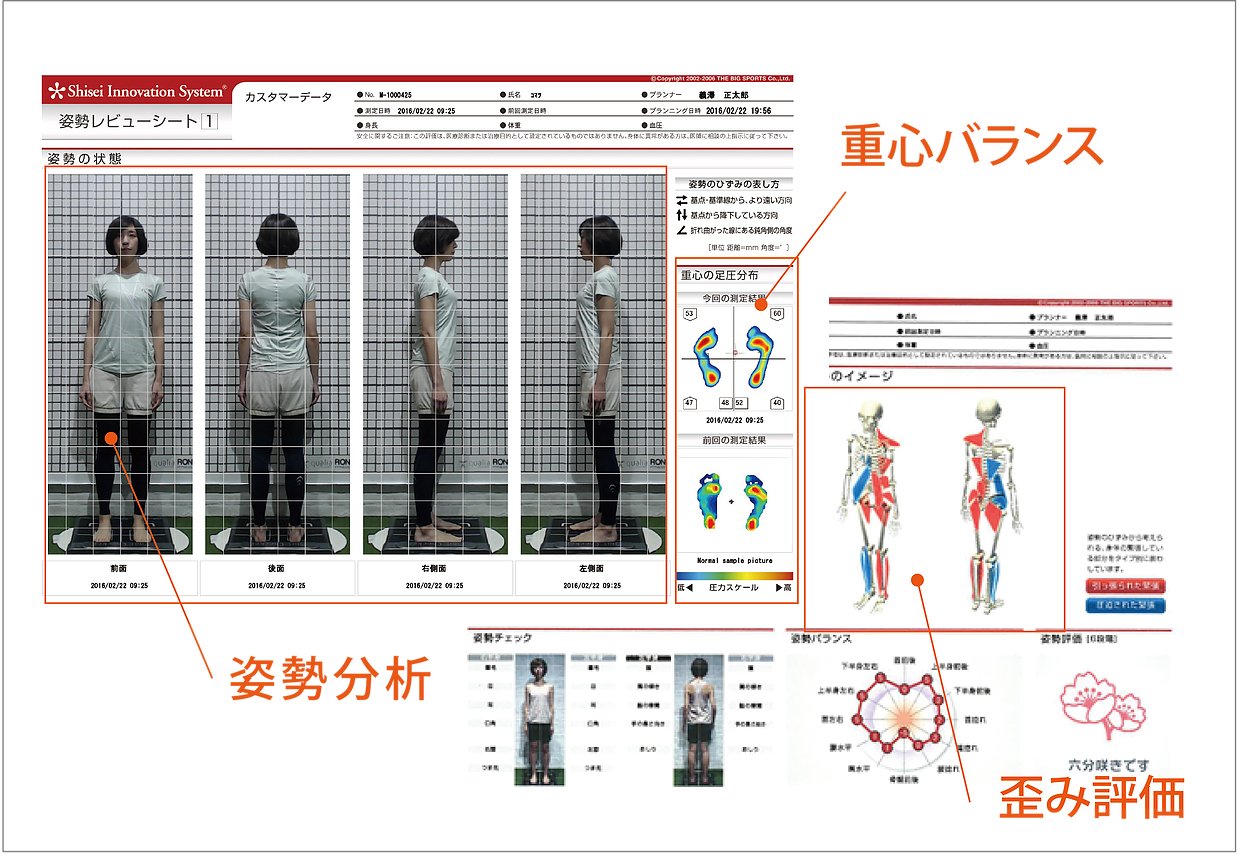 重心バランス 姿勢分析 歪み評価